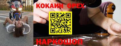 прущие грибы Малгобек