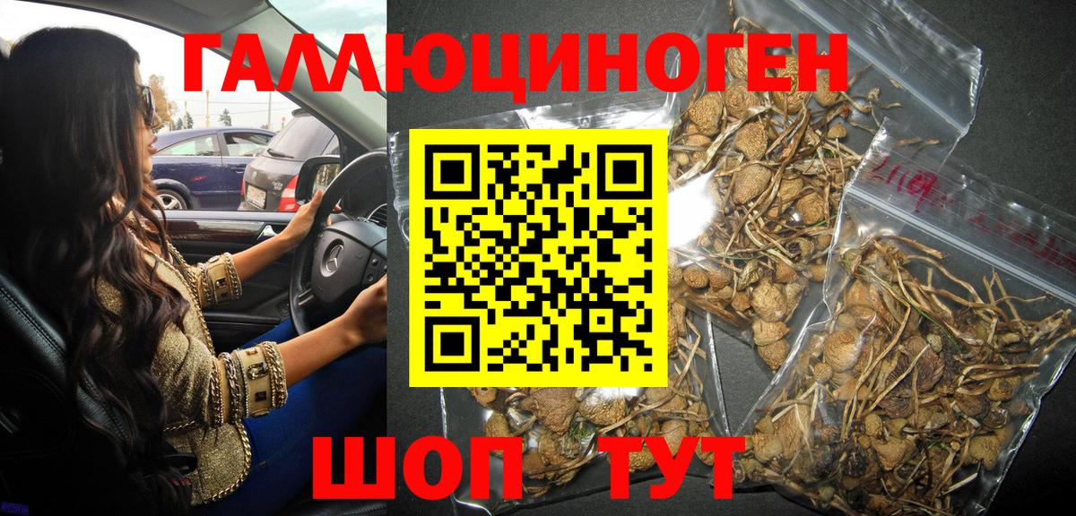 где можно купить   Вход с VPN  Ухта  Псилоцибиновые грибы Magic Shrooms 